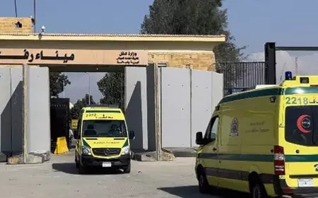 استقبال 43 مصاباً ومريضاً و70 مرافقاً فلسطينياً.. وإدخال 217 شاحنة مساعدات لغزة