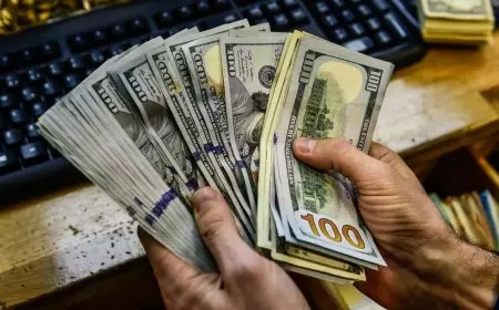 سعر الدولار في السوق السوداء اليوم لحظة بلحظة مقابل الجنيه المصري الثلاثاء 25 فبراير 2025