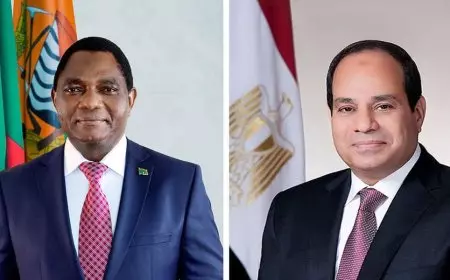 الرئيس يستقبل نظيره الزامبي للتشاور بشأن تطور الأوضاع الإقليمية