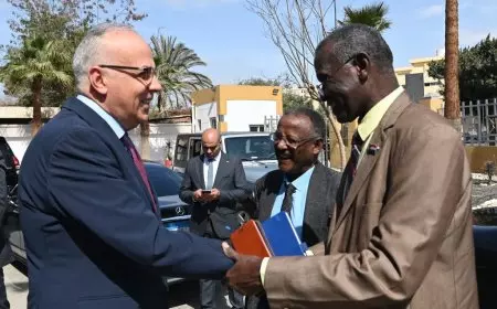 وزير الري ونظيره السوداني يؤكدان حرص الدولتين على إبقاء قضية سد النهضة ضمن الإطار الثلاثي