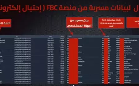 كيف أقنعت منصة FBC ضحاياها بدفع الأموال ؟ مهام عمل مقابل الفلوس
