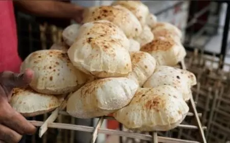 وزير التموين: لا توجد زيادة في الأسعار تلقائية.. وكرتونة البيض بـ150 جنيها