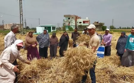 وزير التموين: نستهلك 25 ألف طن قمح يوميا .. والاحتياطى الاستراتيجي يصل لـ 5 أشهر
