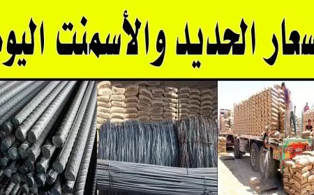 سعر طن الحديد اليوم في مصر الثلاثاء 25 فبراير 2025 اسعار الحديد داخل مختلف الشركات والمصانع حديد عز