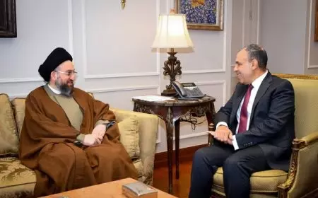 وزير الخارجية يشدد على رفض مصر لتهجير الفلسطينيين من غزة