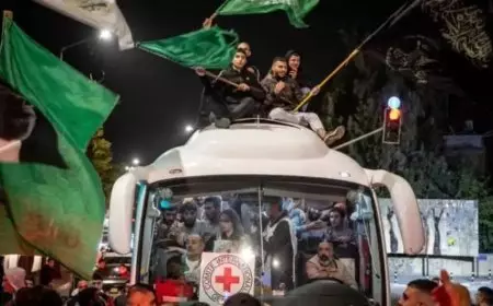 الإفراج عن الدفعة السابعة من الأسرى الفلسطينيبين الليلة.. تفاصيل