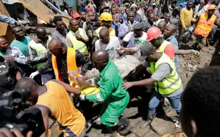 بسبب أكلة خفافيش.. مرض غامض يثير الذعر في الكونغو الديمقراطية