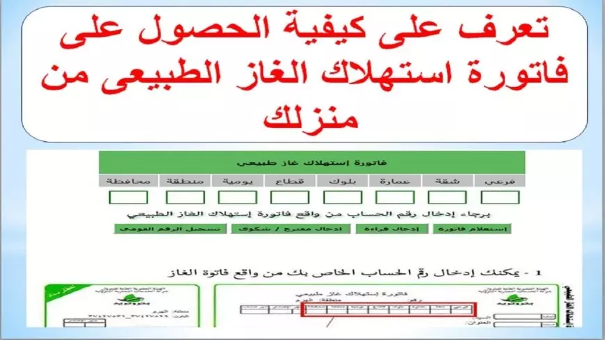 موقع شركة بتروتريد.. الاستعلام عن فاتورة فاتورة الغاز بالرقم القومي لشهر فبراير 2025