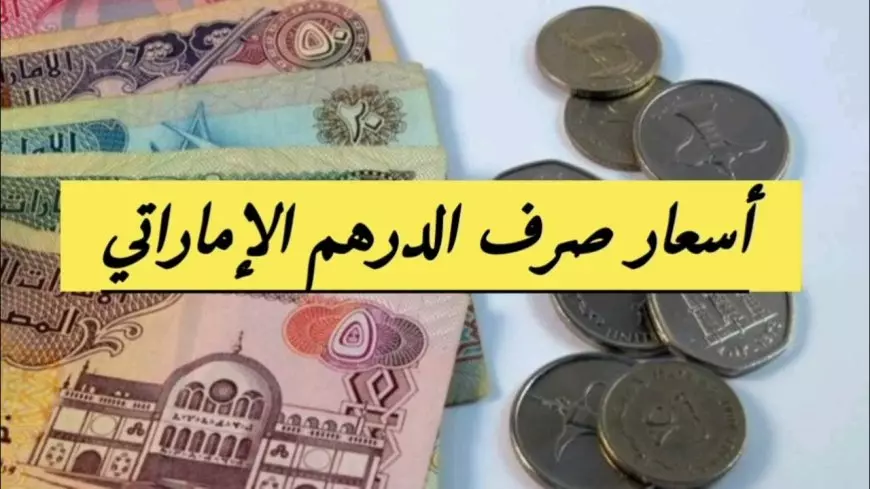 سعر الدرهم الإماراتي اليوم مقابل الجنيه المصري الثلاثاء 25 فبراير 2025 وفق اخر تحديث في البنوك المحلية والسوق السوداء