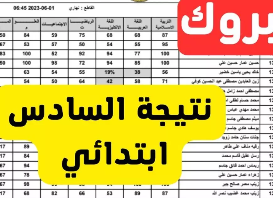 نتائج السادس الابتدائي 2025 بالرقم الامتحاني الدور التمهيدي بجميع محافظات العراق عبر نتائجنا results.mlazemna