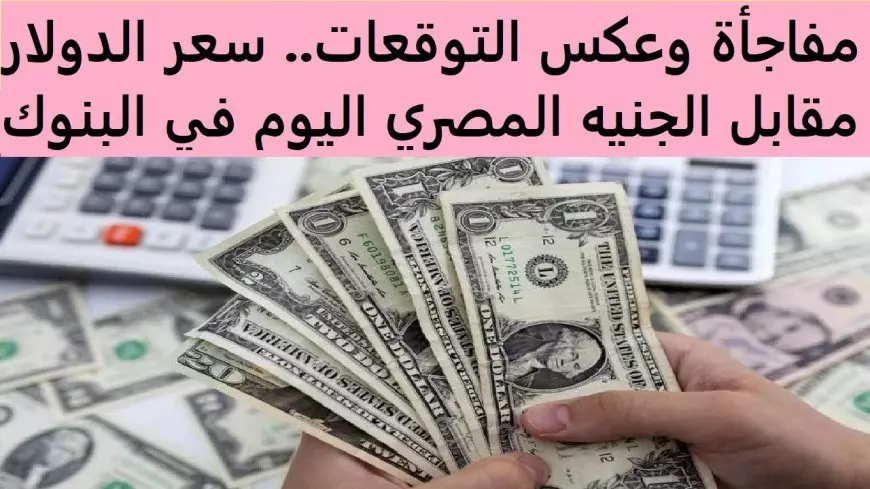 سعر الدولار اليوم في السوق السوداء الاربعاء 5 فبراير 2025 مقابل الجنيه المصري في البنوك