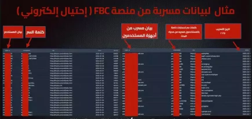 تفاصيل مفاجئة عن قضية شبكة FBC.. بدأت نشاطها منذ شهرين