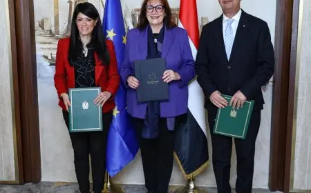 بتمويل ميسر من أوروبا.. مصر تعزز أمنها الغذائي بـ90 مليون يورو