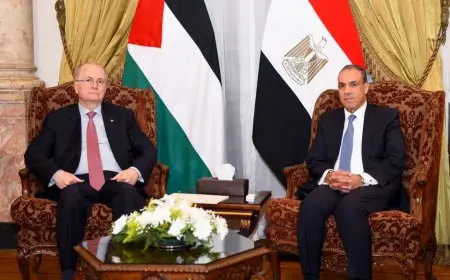 وزير الخارجية ونظيره الفلسطيني يتناولان الترتيبات الجارية للقمة العربية المنعقدة غدًا بالقاهرة