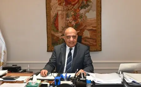 وزير الكهرباء: إضافة 2 جيجا وات جديدة استعدادا لصيف 2025