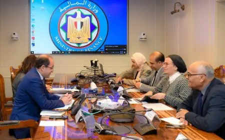 وزير المالية: دفع جهود الدولة الهادفة لجذب استثمارات أجنبية مباشرة لمصر خاصة بمجال التحول للاقتصاد الأخضر