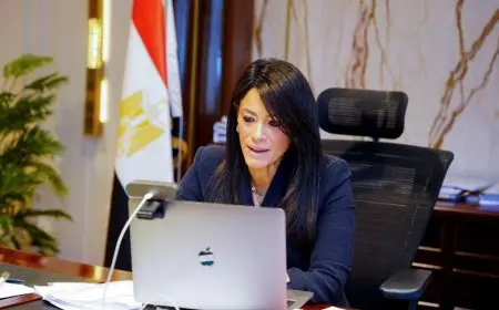 المشاط: الاقتصاد المصري أصبح أكثر استقرارًا وقابلية للتنبوء رغم التحديات العالمية