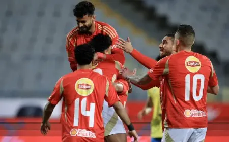 شوبير يعلن تجدد إصابة نجم الأهلي