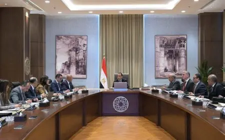 رئيس الوزراء يستعرض مشروعا مقترحا لإنتاج الهيدروجين والأمونيا الخضراء بخليج السويس