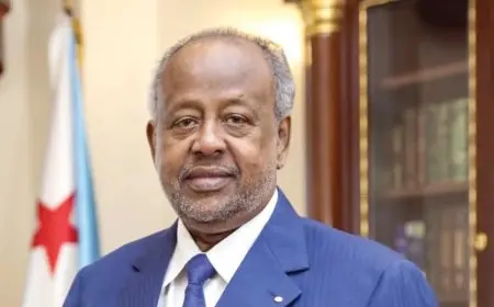 رئيس جيبوتي: نرفض تهجير الفلسطينيين وملتزمون بإقامة دولتهم المستقلة