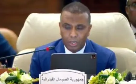 رئيس وزراء الصومال: نرفض أي محاولات تهدف إلى تهجير الفلسطينيين