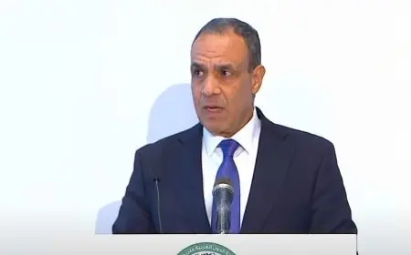 وزير الخارجية: وضع خطة إعمار غزة بناء على دراسات علمية وترجمتها للإنجليزية