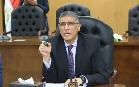 محافظ الجيزة: 3 يوليو إجازة رسمية بمناسبة افتتاح المتحف المصري الكبير