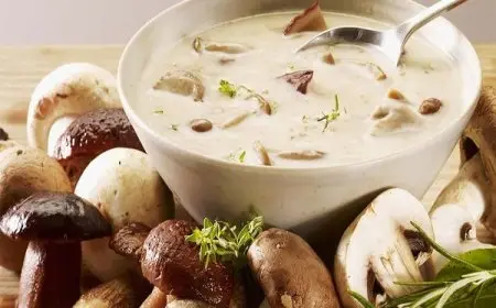 طريقة عمل شوربة الكريمة بالمشروم في المنزل