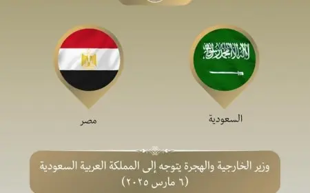 وزير الخارجية يتوجه إلى السعودية للمشاركة في الاجتماع الاستثنائي لمنظمة التعاون الإسلامي