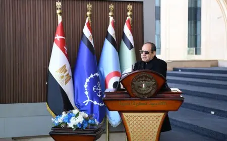 الرئيس السيسي يطمئن المصريين: بندير الأمور بكل حرص وثقة بالله