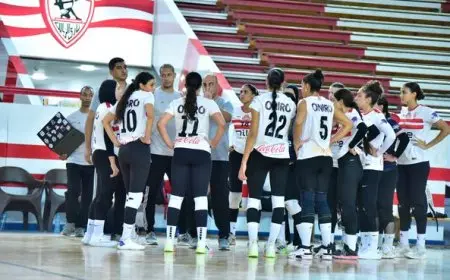 سيدات الزمالك يتأهلن لنصف نهائي كأس مصر للطائرة