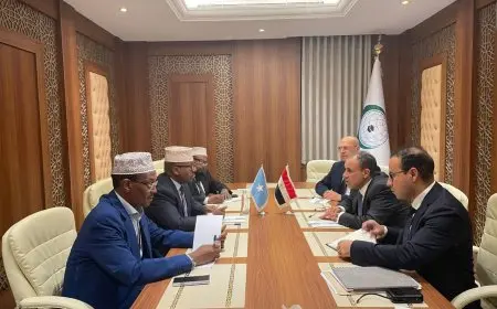 وزير الخارجية ونظيره الصومالي يناقشان آخر المستجدات في قطاع غزة