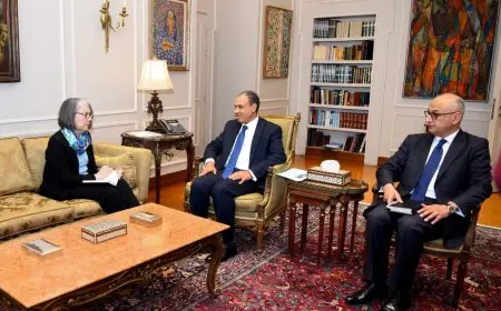 وزير الخارجية يؤكد على أهمية تضافر الجهود لتنفيذ الخطة المصرية لإعادة إعمار غزة