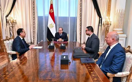 الرئيس السيسي يوجه بتسريع وتيرة أعمال البناء بمبادرتي بيتك في مصر وبيت الوطن