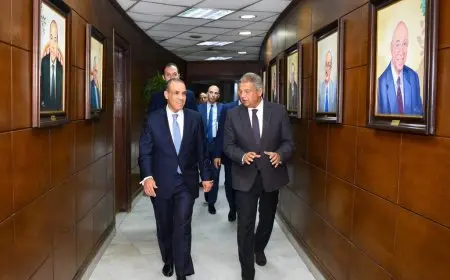 للتعاون والتدريب المشترك.. وزير الخارجية يلتقي مع رئيس الأعلى للإعلام والهيئة الوطنية