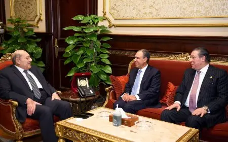 وزير الخارجية يلتقى مع رئيس مجلس الشيوخ ولجنتى العلاقات الخارجية بالنواب