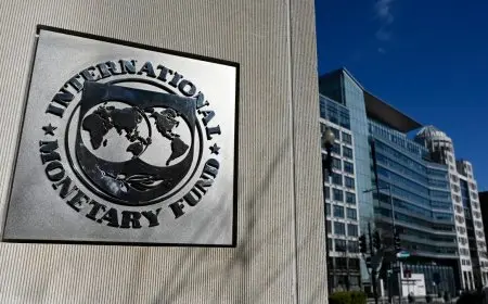 وزير المالية: صندوق النقد الدولي يوافق على صرف 1.2 مليار دولار لمصر