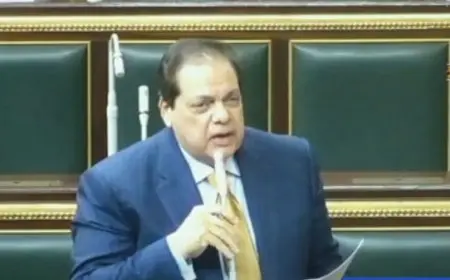 أبو العينين: مصر تحقق انتصارات يوميا بالصمود في مواجهة مخططات تفكيك الدولة