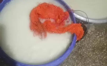 الصحة: ضبط 5 أطنان من البوظة قبل طرحها للجمهور في سوهاج