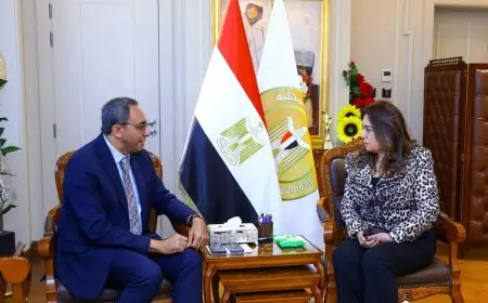 وزيرة التنمية المحلية تتابع مع محافظ قنا جهود توافر السلع الأساسية للمواطنين 