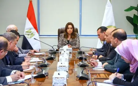 وزيرة التنمية المحلية توجه بالمرور الميدانى لمتابعة سير العمل بمنظومة التصالح