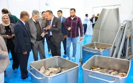 أسامة ربيع يشهد التشغيل التجريبي لمصنع تغليف الأسماك بشركة الاستزراع المائي