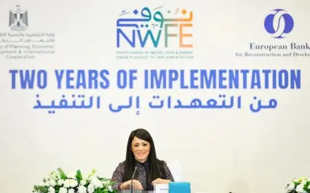 «المشاط»: 6.7 مليار جنيه استثمارات عامة بخطة 2025/2024 لربط 4 مشروعات طاقة متجددة