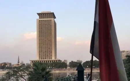 مصر تؤكد أهمية الحلول السياسية للأزمات الدولية