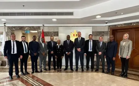 وفد فني من تنزانيا يزور البنك المركزي المصري للاطلاع على تجربته في الأمن السيبراني