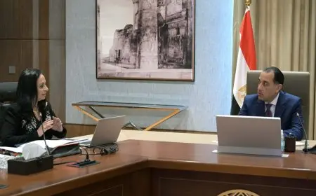 رئيس الوزراء يتابع ملف حصر التكلفة الاقتصادية لأعداد اللاجئين والوافدين المقيمين في مصر