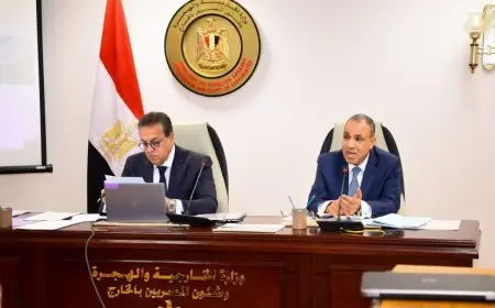 بحضور وزيري الخارجية والصحة.. اجتماع لتأهيل القطاع الصحي وإدارة مرحلة التعافي بغزة