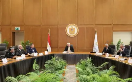 وزير التعليم العالي يترأس اجتماع مجلس أمناء جامعة الإسكندرية الأهلية