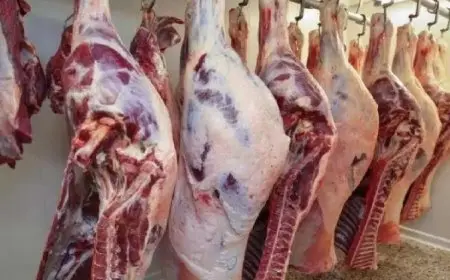 الإحصاء: 20.1 % زيادة في كمية الإنتاج المحلى من اللحوم الحمراء عام 2023