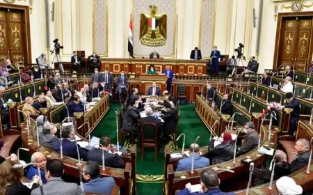 ننشر نص مشروع قانون المسئولية الطبية بعد موافقة البرلمان